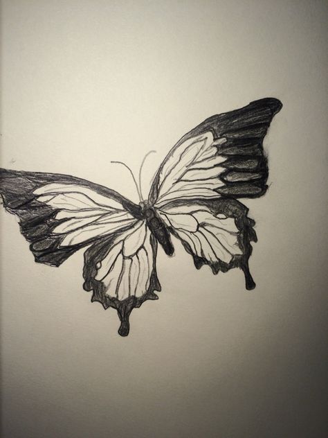 Monarch Butterfly Sketch, Monarch Butterfly Drawing, Fly Drawing, Butterfly Sketch, Butterfly Drawing, Monarch Butterfly, Pencil Sketch, Rooster, Pencil