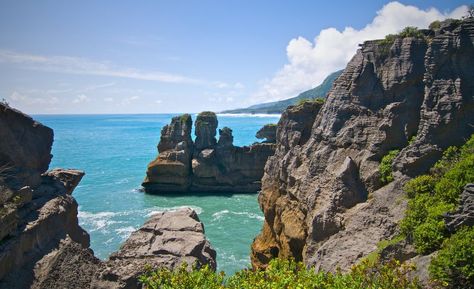 The Paparoa National Park boasts oddly-shaped coastal formations and pristine underground streams that make for an Instagram-worthy shot. Check out 9 other magnificent national parks to see around the world in this article, and get your cameras ready for an exciting adventure! Animal Experiences, Visit New Zealand, Great Ocean Road, People Of Interest, South Island, Instagram Worthy, Beautiful Destinations, Day Trips, Bing Images