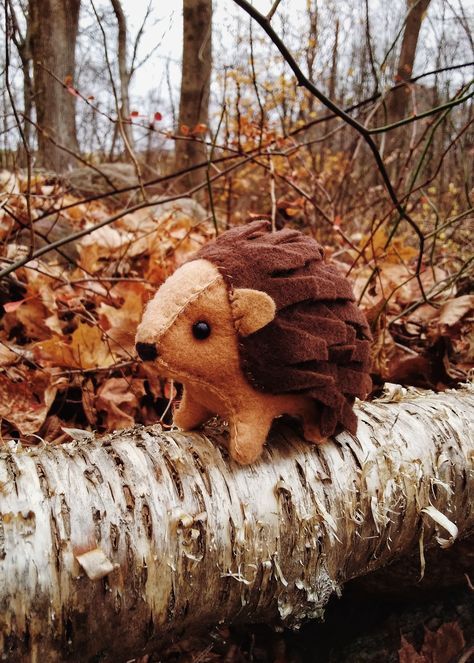 Felt Rooster, Hedgehog Stuffed Animal, Felt Hedgehog, Hedgehog Plush, Crazy Costumes, Fun Diy Crafts, Diy Stuffed Animals, Sewing Basics, Felt Animals