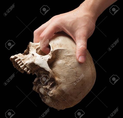 Holding Skull Reference, Hand Holding Skull, Holding Skull, Skull Reference, Hand Holding, Process Art, Black Backgrounds, Holding Hands, Art Reference