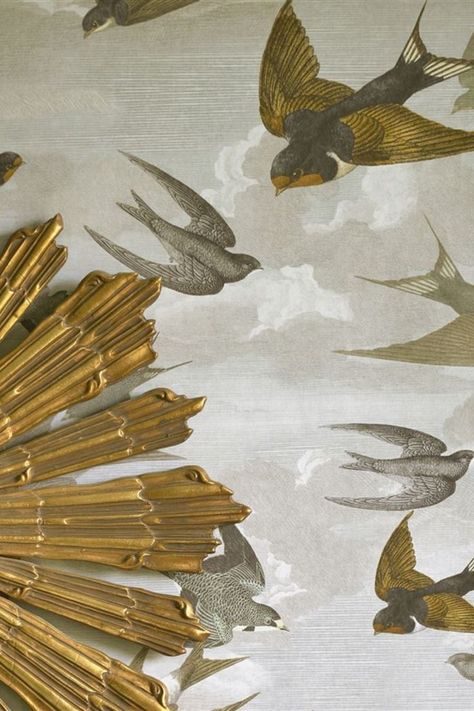 Swallows Wallpaper, Designers Guild Wallpaper, Illustration Botanique, John Derian, Book Wallpaper, Antique Images, Star Wars Wallpaper, Fashion Wallpaper, Swallows