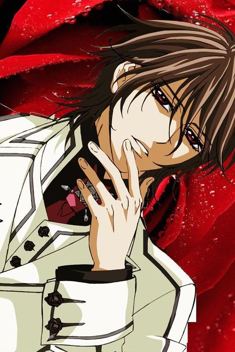 My opinion on kanama is that he can go to hell for all i care Vampire Knight Cosplay, Vampire Knight Zero, Dengeki Daisy Manga, Vampire Night, Vampire Knight Kaname, Vampire Knight Yuki, Vampire Knight Manga, Matsuri Hino, Kaname Kuran