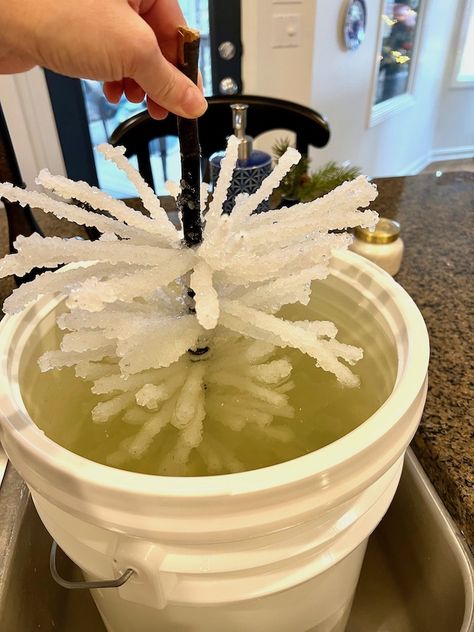 How to Make Christmas Trees with Borax - Perfecting Places Borax Crystal Snowflakes, Christmas Trees From Recycled Materials, Christmas Tree With Crystals, Christmas Tree Branch Ideas, Diy Crystal Christmas Tree, Diy Bottle Brush Trees, Borax Ornaments, Diy Outdoor Christmas Tree, Borax Crafts