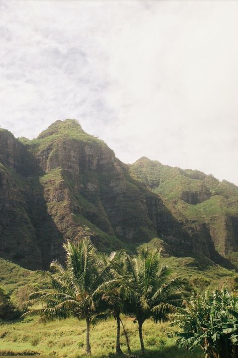 Hawaii Aesthetic Landscape, Hawaii Landscape Photography, Hawaii Aethstetic, Hawaii Film Aesthetic, Old Hawaii Aesthetic, Retro Hawaii Aesthetic, Hawaii Film Photography, Hawaii On Film, Hawaii Mood Board