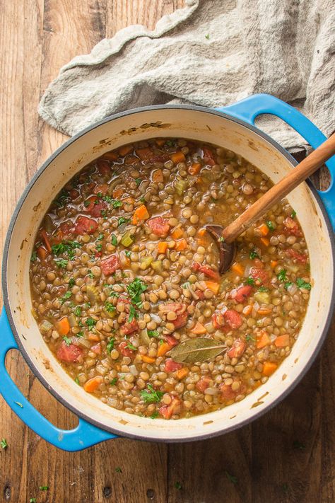 Healthy Lentil Veggie Soup, Basic Lentil Soup, Lentil Soup Easy Quick, Sicilian Lentil Soup, Simple Lentil Soup Recipe, French Lentil Soup Recipe, Lentil Soup Without Tomatoes, Lentle Recipe, Classic Lentil Soup