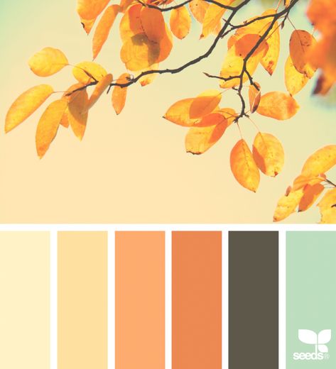 Today's Inspiration, Combination Color, Seeds Color, Paint Palettes, Colour Swatches, Colour Pallets, Palette Design, Hue Color, Color Schemes Colour Palettes