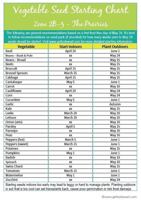 Here's a Manitoba planting chart made for Zone 2b/3 vegetable gardens. Gives info on when to start seeds indoors, outdoor seeding and seed spacing. When To Start Seeds Indoors, When To Start Seeds, Seed Spacing, When To Plant Seeds, Planting Chart, Start Seeds Indoors, When To Plant Vegetables, Vegetable Gardens, Home Vegetable Garden