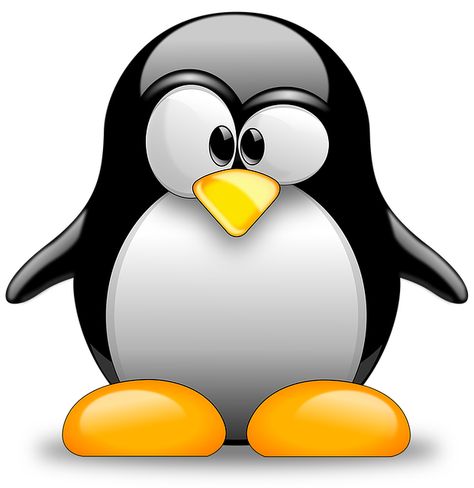 Penguin Pfp, Linux Penguin, Free Vector Patterns, Application Programming Interface, Penguins Funny, Penguin Love, Cool Anime Wallpapers, Pattern Images, Silly Pictures