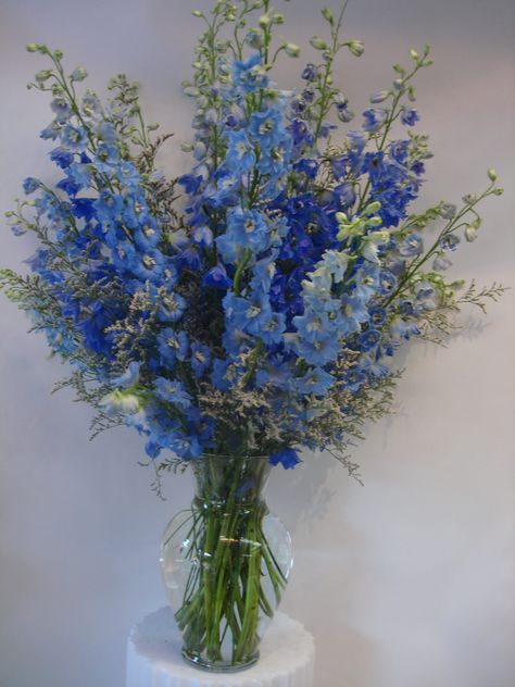 Send the Blue Delphinium Flower Arrangement bouquet of flowers from Fillmore Florist San Francisco in San Francisco, CA. Local fresh flower delivery directly from the florist and never in a box! Blue Delphinium Bouquet, Blue Delphinium Flower, Stem Arrangements, Delphinium Bouquet, Delphinium Flower, Blue Flower Wreath, Blue Flower Arrangements, Blue Flowers Bouquet, Delphinium Flowers