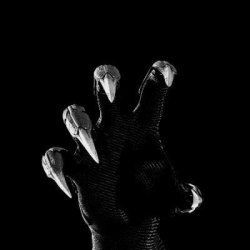 Claw Aesthetic, Black Assassin, Sharp Aesthetic, Monster Aesthetic, Sharp Claws, Character Aesthetic, Larp, Black Aesthetic, Dark Art