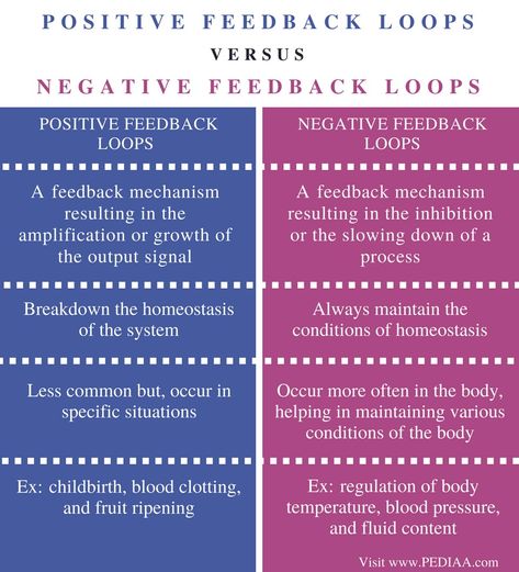 Difference Between Positive and Negative Feedback Loops in Biology - Pediaa.Com Negative Feedback Loop, Biology Cheat Sheet, Ap Biology Notes, Biology Tips, Memes Nursing, Biology Notebook, Biology Interactive Notebook, Biology Lesson Plans, Nursing Pictures