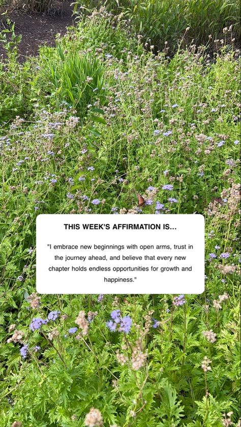 New Week Affirmation, Week Affirmation, Weekly Affirmations, I Am Affirmations, Daily Positive Affirmations, New Beginning, Trust The Process, Positive Affirmation, New Week