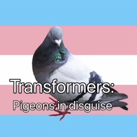 Pigeon, Transformers, Flag