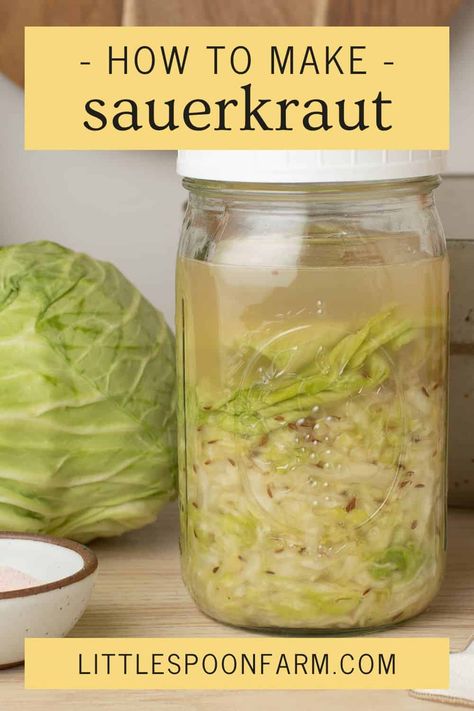 Make lacto-fermented sauerkraut at home with just three ingredients, cabbage, caraway seeds and salt. This homemade sauerkraut recipe is easy to make and loaded with beneficial probiotics for good gut health. Homemade Sourkraut, Fermented Vegetables Recipes, Make Sauerkraut, Making Sauerkraut, Fermented Sauerkraut, Sauerkraut Recipe, Fermented Veggies, Homemade Sauerkraut, Sauerkraut Recipes