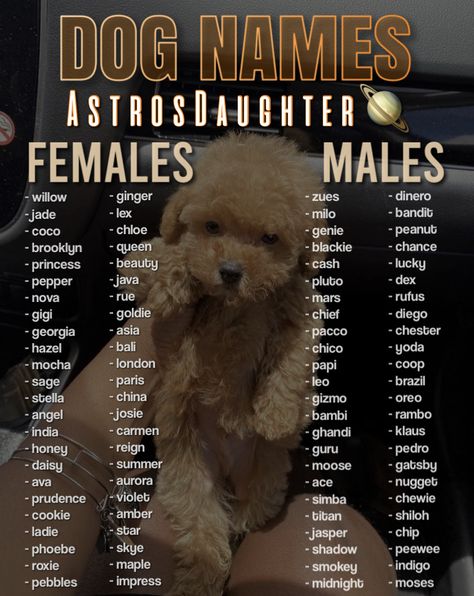 Cutest Dog Names, Puppy Names Boy, Astro Daughter, White Dog Names, Idee Username, Cute Animal Names, Cute Puppy Names, Cute Pet Names, Dog Names Unique