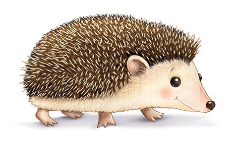 Hedgehog Clip Art, Children Book Illustration Watercolor, Hedgehog Cartoon, Hedgehog Clipart, Art School Portfolio, Hedgehog Colors, Hedgehog Drawing, Hedgehog Illustration, Fairy Illustration