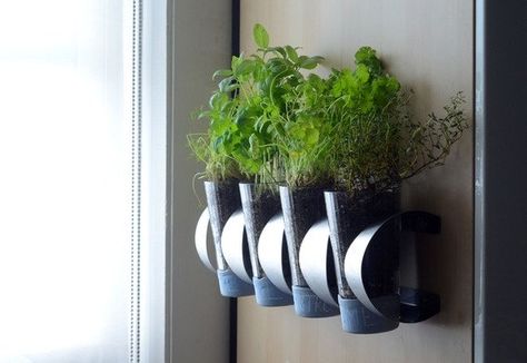 Ikea Wine, Ikea Wine Rack, Indoor Herb Garden Diy, Ikea Garden, Diy Wall Planter, Herb Garden In Kitchen, Diy Herb Garden, Indoor Herb, Indoor Herb Garden