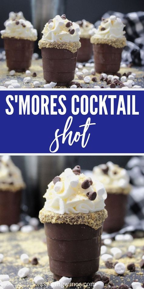 Whip Cream Shots, Smores Shots Alcohol, Irish Cream Shots, Whipped Cream Vodka Recipes, Vodka Caramel, Marshmallow Vodka, Whipped Vodka, Boozy Chocolate, Whipped Cream Vodka