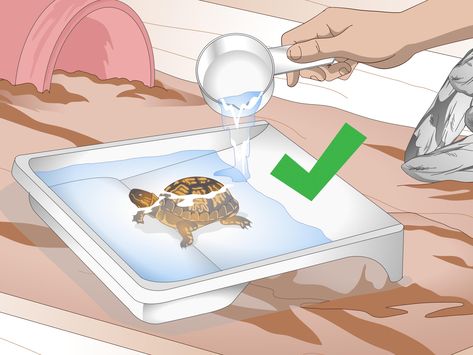 How to Create an Indoor Box Turtle Habitat. Box turtles are best kept outdoors where they have a lot of roaming area. However, that doesn't mean that you can't provide your box turtle with a great home if you live somewhere that can't have... Wood Turtle Habitat, Diy Turtle Habitat, Turtle Habitat Ideas Indoor, Tartaruga Habitat, Box Turtle Habitat, Turtle Traps, Diy Turtle, Turtle Enclosure, Turtle Terrarium