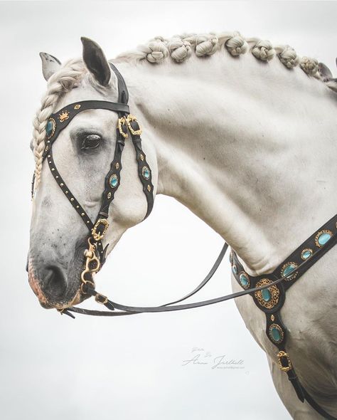 Legolas Aesthetic, Aesthetic Lord Of The Rings, Medieval Horse, Horse Braiding, Horse Games, Horse Costumes, Horse Armor, Fantasy Horses, Horse Bridle