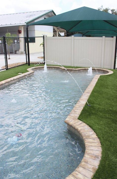 Dog Bone Pool, Dog Pools, Outdoor Dog Area, Spoiled Puppy, Dog Space, Dog Boarding Facility, Dog Swimming Pools, Boarding Facility, Pet Shelter