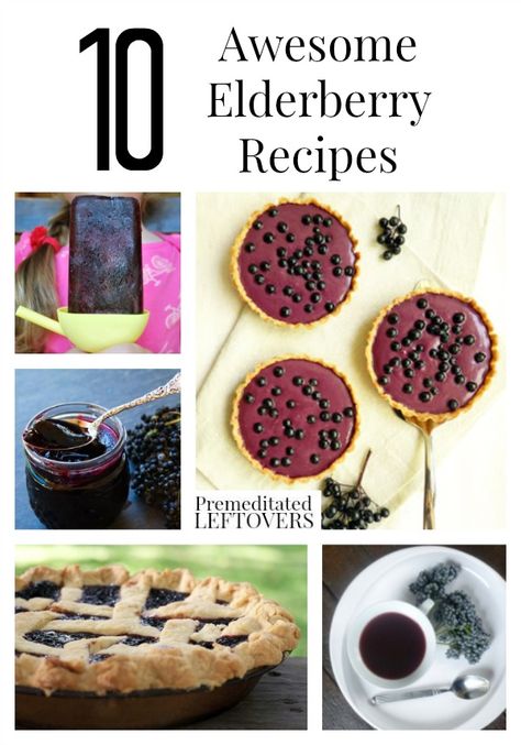 10 Awesome Elderberry Recipes including recipes for elderberry syrup, elderberry pie, elderberry tea, and tips on buying and growing elderberries. Growing Elderberries, Elderflower Recipes, Elderberry Tea, Elderberry Recipes, Foraging Recipes, Foraged Food, Elderberry Syrup, Herbal Recipes, Wild Food