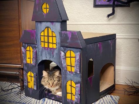 Diy Pet Costumes, Cardboard Cat House, Cat Castle, Cardboard Shipping Boxes, Casa Halloween, Cat House Diy, Cat Tent, Easy Halloween Crafts, Halloween Diy Crafts