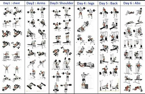 Facts Of Training on Twitter: "… " Workout Schedule For Men, Gym Workout Schedule, 5 Day Workout Plan, 5 Day Workout Routine, 5 Day Workouts, Teen Workout Plan, Fitness Studio Training, Workout Plan For Men, Work Out Routines Gym