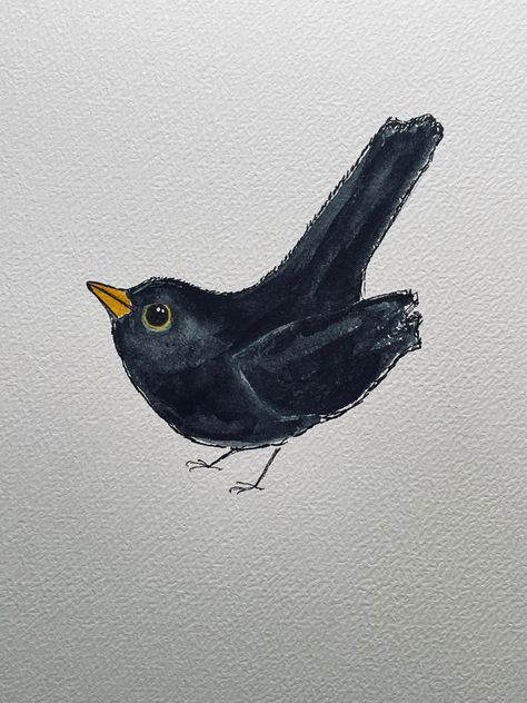 Watercolor Blackbird, Blackbird Watercolor, Blackbird Drawing, Blackbird Illustration, Fun Pics, Pottery Painting Designs, Free Motion Embroidery, Painting Designs, Water Colors