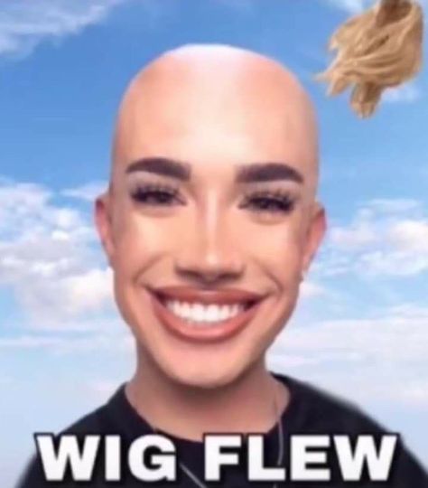 Charles Meme, Funny Wigs, Funny Pix, Crazy Funny Pictures, Goofy Pictures, James Charles, Very Funny Pictures, Extremely Funny Jokes, Funny Profile Pictures