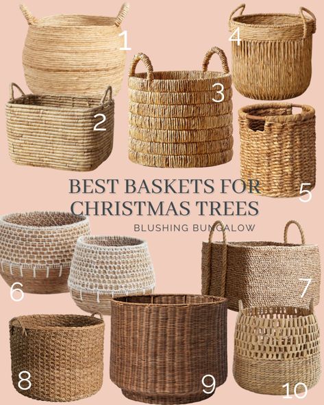 Christmas Tree Collars and Baskets Christmas Trees With Basket Collars, Christmas Trees In A Basket, Small Christmas Tree Basket, Baskets For Christmas Trees, Small Christmas Tree In Basket, Christmas Trees In Baskets, Christmas Tree Basket Base, Basket For Christmas Tree, Christmas Tree In A Basket