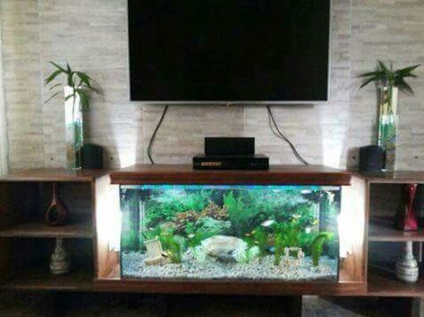 Entertainment Center With Fish Tank, Tv Cabinet With Aquarium, Tv Wall Design With Aquarium, Tv Unit With Aquarium Design, Tv Unit With Fish Tank, Large Fish Tank Ideas Living Rooms, Aquarium Under Tv, Tv Rack Design, Tv Showcase Design