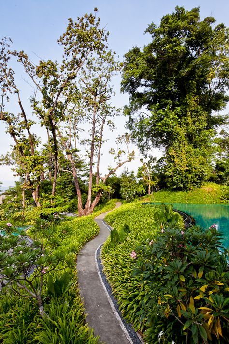 The pathway to happiness at Capella Singapore    #resort #luxury #pool Capella Hotel, Capella Singapore, Tropical Planting, Planting Layout, Sophisticated Garden, Luxury Landscape, Land Design, Garden Pathways, Resort Luxury