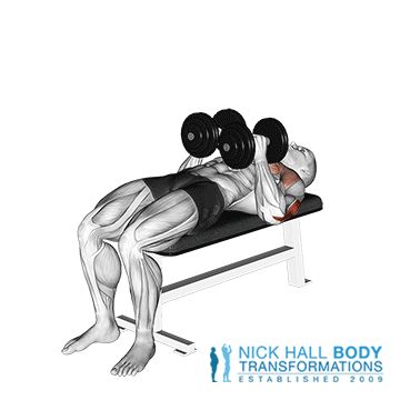 Dumbbell Tricep, Dumbbell Chest Workout, Workout Hiit, Latihan Dada, Gym Antrenmanları, Dumbell Workout, Tricep Extension, Kettlebell Training, Workout Chart