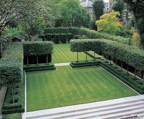 Luciano Guibbilei London garden hornbeams ; Gardenista Kelly Hoppen, Topiary Garden, Garden Screening, Formal Garden, Modern Garden Design, Contemporary Garden, Formal Gardens, Stavanger, Gorgeous Gardens