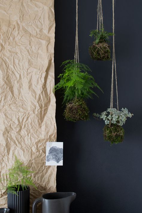 How To Make A Kokedama Hanging Garden - Curate & Display - Nordic Interiors and Lifestyle Blog Indoor Plants For Bathroom, Room Ideas Plants, Hanging Plants Diy, Plants Hanging, Hanging Gardens, Pasta Primavera, Hanging Plants Indoor, Asian Homes, Asian Home Decor