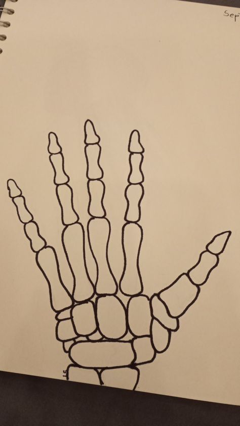 Abstract Skeleton, Cartoon Hand Drawing, Hand Turkey, Im Obsessed, Skeletal System, Skeleton Hand Tattoo, Skeleton Hand, Skeleton Hands, Hand Tattoo