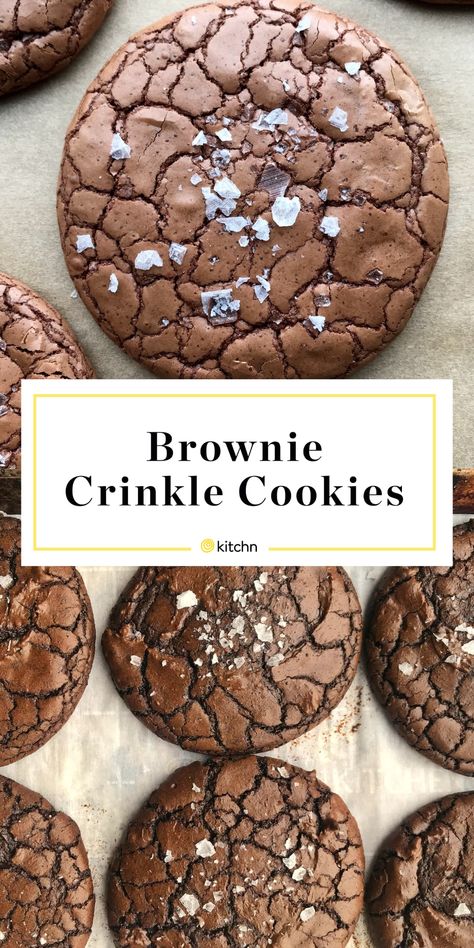 Brownie Crinkle Cookies Recipe, Chewy Brownie Cookies, Cacao Cookies, Brownie Crinkle Cookies, I Always Come Back, Crinkle Cookies Recipe, Recipe Cookies, Perfect Brownies, Cookie Brownie Recipe