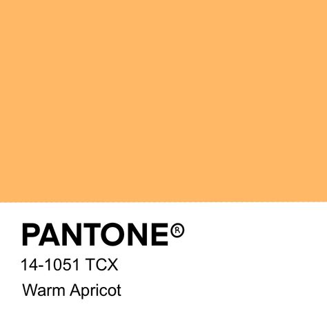 PANTONE colour 14-1051 Warm Apricot. Format 1080x1080px. Made to use on widgets for your iPad and or iPhone. Apricot Pantone, Apricot Color Palette, Pantone Color, Color Palettes, Apricot, Ipad, Texture, Iphone, Tv