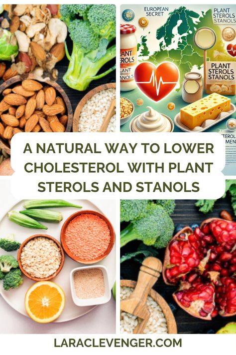 Are you looking for a natural way to lower your cholesterol, no prescription needed? Get ready to learn all about plant sterols and plant stanols. Plant Sterols And Stanols, Ways To Lower Cholesterol, Food As Medicine, To Lower Cholesterol, Plant Sterols, Integrative Nutrition, Lower Your Cholesterol, Healthy Food Recipes Clean Eating, Low Calorie Snacks