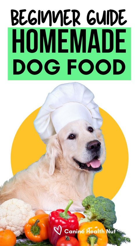 Beginner Guide to Homemade dog food. Dog in chef hat in front of vegetables. Benefits Of Homemade Dog Food, How To Make Dog Food Recipes, Feeding Dogs Human Food, Home Cook Dog Food, Homemade Dog Food Recipes For Large Dogs Crockpot, Dog Diet Food Recipes, Homemade Food Topper For Dogs, Complete Nutrition Homemade Dog Food, Vet Recommended Homemade Dog Food