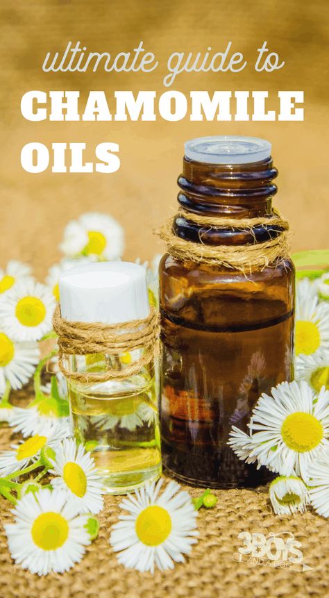 chamomile oils guide including differences between roman and german Chamomile Skin Benefits, Nighttime Tea, Benefits Of Chamomile, Essential Oil For Skin, Diy Perfume Recipes, Essential Oil Perfume Blends, Essential Oil Perfumes Recipes, Facial For Dry Skin, Oil For Skin