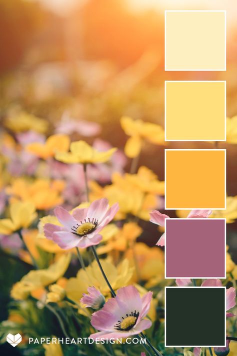 Color Palette For Creativity, Joy Color Palette, Color Pallets Summer, Seed Color Palette, Goldenrod Color Palette, Joy Colour Palette, Grapefruit Color Palette, Joyful Color Palette, Spiritual Color Palette