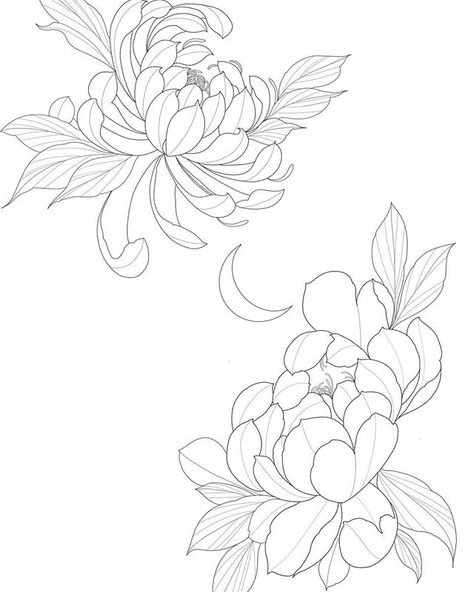 Instagram made me crop it a a bit, but I drew up these flowers today (peony and chrysanthemum) #yycartist #yycarts #draw #yyctattoo… Crisantemo Tattoo, Japanese Flower Tattoo, Chrysanthemum Tattoo, Flower Line Drawings, Japanese Flower, Peonies Tattoo, Floral Tattoo Design, 카드 디자인, Floral Drawing