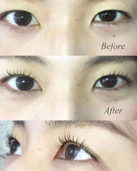 Perm Ideas, Lash Perm, Artificial Eyelashes, Eyelash Perm, Cat Eye Lash, Beautiful Eyelashes, Makeup Lessons, Curling Eyelashes, Makeup Eyelashes