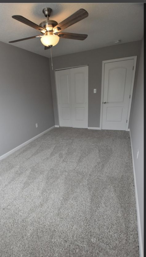 Grey Fluffy Carpet Bedroom, Bedroom Grey Tiles, Carpet For Grey Walls, Bedroom Inspirations Carpet Floor, Carpet And Wall Color Combinations, Carpet With Grey Walls, Light Grey Bedroom Walls, Gray Carpet Bedroom, Light Grey Room