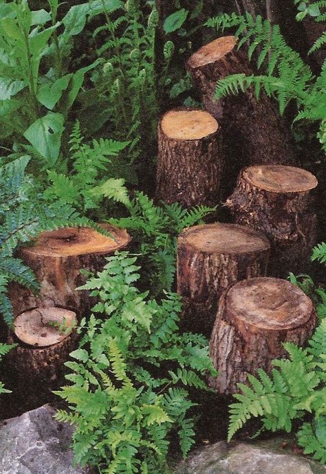 What To Do With Logs, Log Garden Ideas, Log Garden Edging, Stumpery Garden Ideas, Oasis Home Decor, Log Edging, Oasis Home, Log Planter, Wood Privacy Fence