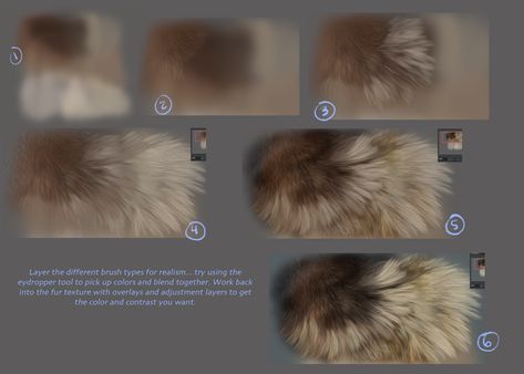 Painting Fur, Canine Drawing, Cat Anatomy, Digital Art Beginner, Brush Type, Digital Painting Tutorials, Art How, Anatomy Art, Digital Art Tutorial