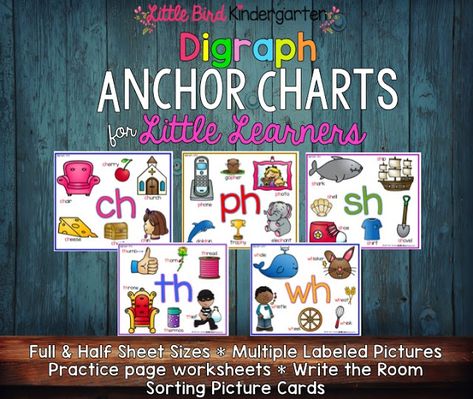 Digraphs Anchor Chart, Bird Kindergarten, Teaching Digraphs, Early Literacy Activities, Blends And Digraphs, Kindergarten Reading Activities, Primary Resources, Elementary Ela, Reading Centers