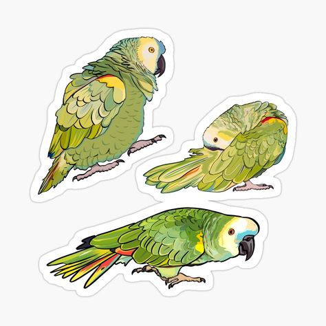 Get my art printed on awesome products. Support me at Redbubble #RBandME: https://www.redbubble.com/i/sticker/Blue-Fronted-Amazon-Parrot-Sticker-Pack-by-Zurickdesigns/62287511.EJUG5?asc=u Blue Fronted Amazon, Parrot Sticker, Amazon Parrot, Sticker Pack, Stickers Packs, Hulk, Top Artists, Pet Birds, Star Trek